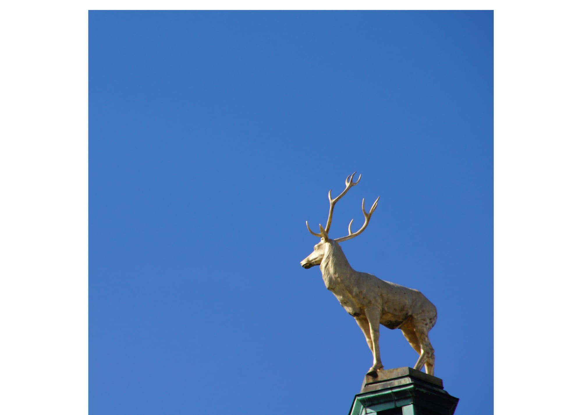 Kunstverein